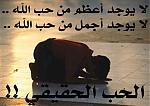   abouali